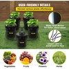 image:imageVEVOR DWC Hydroponic System 5 Gallon 8 Buckets Deep Water Culture Growing Bucket Hydroponics Grow Kit with Pump Air Stone and Water Level Device for IndoorOutdoor Leafy Vegetables5 Buckets