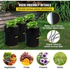 image:imageVEVOR DWC Hydroponic System 5 Gallon 8 Buckets Deep Water Culture Growing Bucket Hydroponics Grow Kit with Pump Air Stone and Water Level Device for IndoorOutdoor Leafy Vegetables4 Buckets