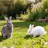 image:imageVEVOR Hardware Cloth 48 x 50 12inch Galvanized Wire Mesh Roll 19 Gauge Chicken Wire Fence Roll Vinyl Coating Metal Wire Mesh for Chicken Coop Barrier Rabbit Snake Fences Poultry Enclosures60in100ft