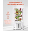 image:imageVEVOR Hydroponic Growing System with Grow Light 30 Pods Vertical 6 Tiers Hydroponic Tower Home Hydronic Garden with Water Pump Plants Germination Kit for Indoor Herbs Fruits and Vegetables6 Tiers30 PodsWith Grow Light