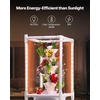 image:imageVEVOR Hydroponic Growing System with Grow Light 30 Pods Vertical 6 Tiers Hydroponic Tower Home Hydronic Garden with Water Pump Plants Germination Kit for Indoor Herbs Fruits and Vegetables6 Tiers30 PodsWith Grow Light