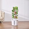 image:imageVEVOR Hydroponic Growing System with Grow Light 30 Pods Vertical 6 Tiers Hydroponic Tower Home Hydronic Garden with Water Pump Plants Germination Kit for Indoor Herbs Fruits and Vegetables6 Tiers30 PodsNo Grow Light