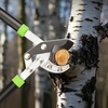 image:imageVEVOR Loppers for Tree Trimming 32 inch Garden Anvil Trimmer with Compound Action Sharp Steel Blade Heavy Duty Tree Branch Cutter Up to 2 inch Dia Cut Capacity Ergonomically Designed Handles