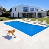 image:imageVEVOR Solar Pool Cover 32 x 16 ft Rectangle Solar Blanket for Pools 16 mil Solar Covers for Inground Above Ground Swimming Pool Solar BlueBlue