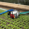 image:imageVEVOR Suction Hose 2 in x 20 ft Green High Quality Hose with Camlock Connectors and Aluminum Fittings Fit Various Pumps for Sewage Treatment Water Transportation and More Agricultural Purposes2 x 20 suction hose  60 Backwash Hose