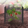 image:imageVEVOR Tomato Cages 118 x 118 x 461 5 Packs Square Plant Support Cages Silver PVCCoated Steel Tomato Towers for Climbing Vegetables Plants Flowers Fruitsblack