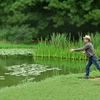 image:imageVEVOR 32 in Aquatic Weed Rake 63 in Double Sided Lake Weed Rake Lightweight Pond Weeds Cutter with 30ft Rope No Assembly Required Muck Lilypad Clearing Tool for Pond Lake Rivulet24in