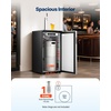 image:imageVEVOR Beer Kegerator Triple Tap Commercial Draft Beer Dispenser for D system Full Size Keg Refrigerator with 5lbs CO2 Tank Hold 3 Sixth2 Slim3 Ball lock keg 3 taps  D system  stainless steelSilver