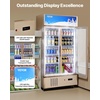 image:imageVEVOR Commercial Merchandiser Refrigerator 2 Glass Doors 23 Cubic Ft Upright Display Beverage Cooler 79 Tall x 394 Width Fridge with LED Lighting for Drink Wine Soda Gold23 cuft