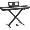 Black  with X Stand