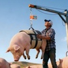 image:imageVEVOR Crane Scale Hanging Scale Industrial Heavy Duty Digital Crane Scale with Remote Control Cast Aluminum Case amp LED Screen 2200 lbs1000 kgHigh Precision for Construction Factory Farm1100BLS