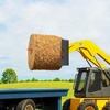 image:imageVEVOR Skid Steer Pallet Frame 4000 lbs Rated Load Capacity 45inch Pallet Fork Frame Attachments with 2inch Hitch Receiver amp Spear Sleeves Fit for Loaders Tractors Quick Attach Mount Frame Only45 x 7 x 19 in