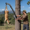 image:imageVEVOR Tripod Deer Hoist 500 lbs Load Capacity Hunting Game Hoist Winch Lift with Gambrel amp Manual Winch Hunting Game Skinning and Cleaning Accessory for Cleaning Skinning and Moving Black353 lbs