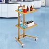image:imageVEVOR Mayo Stand Stainless Steel Mayo Tray Load Capacity up to 36 lbs Adjustable Height 31955 Medical Tray on Wheels with Removable Tray for Spa Salon Clinic Personal CareGolden