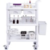 image:imageVEVOR Medical Mobile Trolley Cart with 2 Drawers amp 3 Trash Cans 2 Tiers Beauty Salon Rolling Trolley with 4 Silent Wheels amp 2 Dirts Bucket amp Bowl Medical Utility Cart for Hospital Dental Clinic Lab3tier shelves