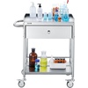 image:imageVEVOR Rolling Medical Cart with Lockable Drawer White Paint Stainless Steel Utility Cart 2 Tiers Mobile Esthetician Trolley Cart with Swivel Casters for Lab Hospital Dental Salon and Beauty2tier with 1 drawer