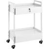 image:imageVEVOR Rolling Medical Cart with Lockable Drawer White Paint Stainless Steel Utility Cart 2 Tiers Mobile Esthetician Trolley Cart with Swivel Casters for Lab Hospital Dental Salon and Beauty2tier with 2 drawer