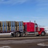 image:imageVEVOR Truck Straps 4 x30 Heavy Duty Tie Down wFlat Hooks 18000lbs Break Strength WLL 6000lbs Cargo Straps Tie Down for Flatbeds Trucks Trailers Farms Rescues Tree Saver Blue10 PackBlue