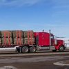 image:imageVEVOR Truck Straps 4 x30 Heavy Duty Tie Down wFlat Hooks 18000lbs Break Strength WLL 6000lbs Cargo Straps Tie Down for Flatbeds Trucks Trailers Farms Rescues Tree Saver Blue10 PackRed