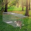 image:imageVEVOR Humane Live Animal Trap Dimensions 50 x 20 x 26 Cage Trap Crafted from Galvanized Iron Collapsible Design with Carrying Handle for Capturing Stray Dogs Armadillos Raccoons and Foxes50 x 20 x 26