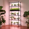 image:imageVEVOR Indoor Greenhouse with Grow Light 59 in Tall 4Tier Plant Stand with Clear Cover Timer amp Hygrometer 180W Full Spectrum Grow Lights Metal Lighted Plants Shelf Holder for Indoor Plants30w with Mechanical Timer