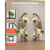 image:imageVEVOR Plant Stand Indoor with Grow Lights 63 in Tall 9Tier Lighted Plant Shelf Metal Corner Plants Holder 3 Timer amp 10 Brightness CurveShaped Flower Display Rack for Living Room Balcony DecorBlack  2 Pack Half Moon