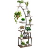 image:imageVEVOR Plant Stand Indoor with Grow Lights 63 in Tall 9Tier Lighted Plant Shelf Metal Corner Plants Holder 3 Timer amp 10 Brightness CurveShaped Flower Display Rack for Living Room Balcony DecorBlack  1 Pack Half Moon