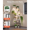 image:imageVEVOR Plant Stand Indoor with Grow Lights 63 in Tall 9Tier Lighted Plant Shelf Metal Corner Plants Holder 3 Timer amp 10 Brightness CurveShaped Flower Display Rack for Living Room Balcony DecorBlack  1 Pack Half Moon