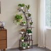 image:imageVEVOR Plant Stand Indoor with Grow Lights 63 in Tall 9Tier Lighted Plant Shelf Metal Corner Plants Holder 3 Timer amp 10 Brightness CurveShaped Flower Display Rack for Living Room Balcony DecorBlack  1 Pack Half Moon