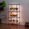 image:imageVEVOR Plant Stand with Grow Light 4Tier Plant Shelfwith 45W Full Spectrum LED 3 Mode Plant Light with Timer and Wheel for Seed Starting Metal Plant Rack for Indoor Plants4 Tiers  3 Light Modes with Timer