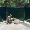 image:imageVEVOR Welding Screen with Frame 3Panel 6 x 8 FT Welding Curtain Screen FlameResistant Vinyl Safety Protection Screens with 12 Wheels amp 6Level UV Protection for WorkshopIndustrial Use Dark GreenDark Green