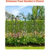 image:imageVEVOR 60 x 15 in Rustproof Metal Garden Flower Trellis Outdoor Climbing Rose amp Cucumber Support Decorative Tall Clematis Trellis for Courtyards amp Lawns71Hx 20W
