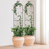 image:imageVEVOR 60 x 15 in Rustproof Metal Garden Flower Trellis Outdoor Climbing Rose amp Cucumber Support Decorative Tall Clematis Trellis for Courtyards amp Lawns60H x 15W