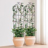 image:imageVEVOR 60 x 15 in Rustproof Metal Garden Flower Trellis Outdoor Climbing Rose amp Cucumber Support Decorative Tall Clematis Trellis for Courtyards amp Lawns71Hx 20W