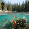 image:imageVEVOR Lake Weed Roller 141 ft Stainless Steel Lake amp Pond Weed Removal Tool Muck Razer Aquatic amp Sludge Tiller Rid Roots and Muck Buildup 6 Preassembled Stainless Steel Blades 4 Aluminum Handles12ft