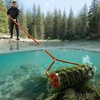 image:imageVEVOR Lake Weed Roller 141 ft Stainless Steel Lake amp Pond Weed Removal Tool Muck Razer Aquatic amp Sludge Tiller Rid Roots and Muck Buildup 6 Preassembled Stainless Steel Blades 4 Aluminum Handles20ft