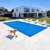 image:imageVEVOR Solar Pool Cover 36 x 18 ft Rectangle Solar Cover 12 mil for Pools Inground Above Ground Swimming Pool Solar Blanket with Bubble Heat Retaining Solar Covers BlueBlue