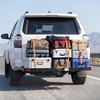image:imageVEVOR Hitch Cargo Carrier with Bike Racks 62 x 20 x 3 Hitch Mount Cargo Carrier for 2 Mountain Bikes 500LBS Capacity HighStrength Steel Rear Luggage Basket Fits 2 Receiver for SUVs Pickups62 x 27 x 3 in