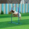 image:imageVEVOR Dog Agility Course Backyard Set 13pcs Agility Training Equipment for Dogs 2 Tunnels with SandbagsAdjustable HurdlesWeave PolesJump RingPause Box Puppy Obstacle Course Kit with Storage Bag8 Pcs Set