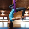 image:imageVEVOR Aerial Silk amp Yoga Swing Aerial Yoga Hammock Kit with 100gsm Nylon Fabric Full Rigging Hardware amp Easy Setup Guide Antigravity Flying for All Levels Fitness BodybuildingPurple