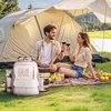 image:imageVEVOR Picnic Backpack Beach Picnic Backpack Bag for 2 Person with Insulated Cooler Compartment Detachable BottleWine Holder Lightweight Blanket Plates amp Cutlery Set for Hiking Camping Navy Bluesingle layer for 4  gray