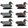 image:imageVEVOR Hunting Decoys Outdoors Decoy for Hunting Durable Material with Ultra Realistic Paint for Pool Pond Lake Garden Yard Decoration FoldableEasy to Carry and UseDuck 6pcs