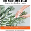 image:imageVEVOR Artificial Dracaena Tree 5 ft Fake Palm Tropical Plants with White Tall Planter Faux Floor Silk Plant in Pot Large Trees for Home Office Living Room Decor House Warming Indoor OutdoorGolden Cane Palm