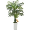 image:imageVEVOR Artificial Dracaena Tree 5 ft Fake Palm Tropical Plants with White Tall Planter Faux Floor Silk Plant in Pot Large Trees for Home Office Living Room Decor House Warming Indoor OutdoorAreca Palmsthick