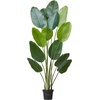 image:imageVEVOR Artificial Dracaena Tree 5 ft Fake Palm Tropical Plants with White Tall Planter Faux Floor Silk Plant in Pot Large Trees for Home Office Living Room Decor House Warming Indoor OutdoorBird of Paradise
