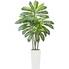 image:imageVEVOR Artificial Dracaena Tree 5 ft Fake Palm Tropical Plants with White Tall Planter Faux Floor Silk Plant in Pot Large Trees for Home Office Living Room Decor House Warming Indoor OutdoorDracaena Tree