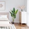 image:imageVEVOR Artificial Dracaena Tree 5 ft Fake Palm Tropical Plants with White Tall Planter Faux Floor Silk Plant in Pot Large Trees for Home Office Living Room Decor House Warming Indoor OutdoorBird of Paradise