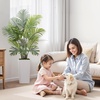 image:imageVEVOR Artificial Dracaena Tree 5 ft Fake Palm Tropical Plants with White Tall Planter Faux Floor Silk Plant in Pot Large Trees for Home Office Living Room Decor House Warming Indoor OutdoorAreca Palms